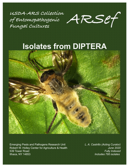 Diptera Cover