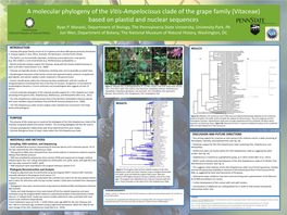 A Molecular Phylogeny of the Vitis-Ampelocissus Clade of the Grape Family (Vitaceae) Based on Plastid and Nuclear Sequences Ryan P