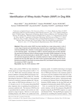 Identification of Whey Acidic Protein (WAP) in Dog Milk