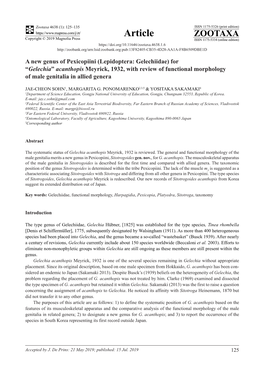 (Lepidoptera: Gelechiidae) for “Gelechia” Acanthopis Meyrick, 1932, with Review of Functional Morphology of Male Genitalia in Allied Genera