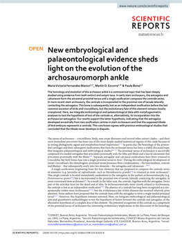 OPEN New Embryological and Palaeontological Evidence Sheds Light on the Evolution of the Archosauromorph Ankle María Victoria Fernandez Blanco1,2*, Martín D