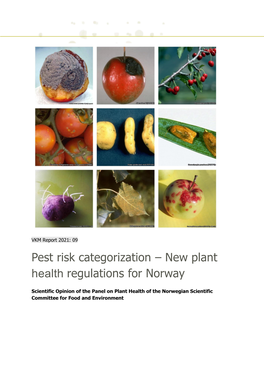 Pest Risk Categorization – New Plant Health Regulations for Norway