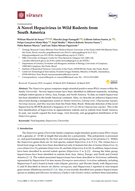 A Novel Hepacivirus in Wild Rodents from South America