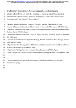 Evolutionary Transition of Doublesex Regulation in Termites And