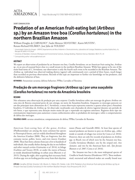 Predation of an American Fruit-Eating Bat (Artibeus Sp.)