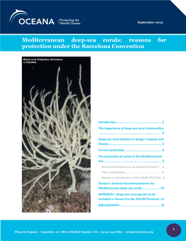 Mediterranean Deep-Sea Corals: Reasons for Protection Under the Barcelona Convention