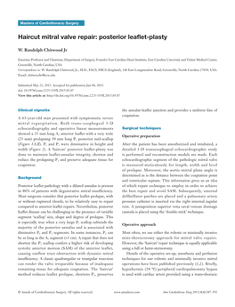 Haircut Mitral Valve Repair: Posterior Leaflet-Plasty