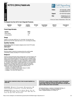 81935 KCTD12 (D8V4J) Rabbit Mab