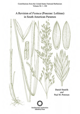 A Revision of Fes Tuca (Poaceae: Loliinae) in South American Paramos