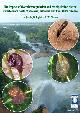 The Impact of River Flow Regulation and Manipulation on the Invertebrate Hosts of Malaria, Bilharzia and Liver Fluke Disease