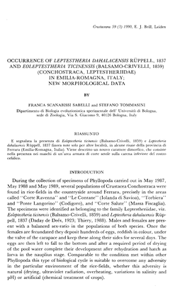 Occurrence of Leptestheria Dahalacensis Rüppell, 1837