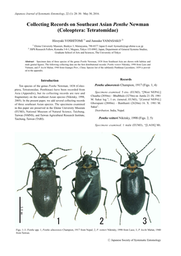 Collecting Records on Southeast Asian Penthe Newman (Coleoptera: Tetratomidae)