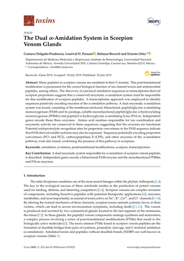 Amidation System in Scorpion Venom Glands