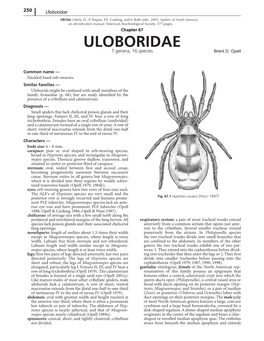 Uloboridae Spiders of North America — 251 FROM: Ubick, D., P