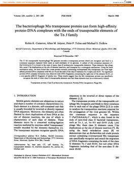 The Bacteriophage Mu Transposase Protein Can Form High-Affinity Protein-DNA Complexes with the Ends of Transposable Elements of the Tn 3 Family