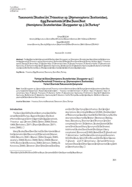 Taxonomic Studies on Trissolcus Sp. (Hymenoptera: Scelionidae), Egg