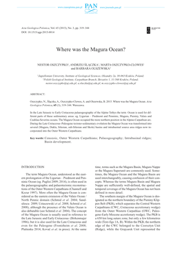 Where Was the Magura Ocean?