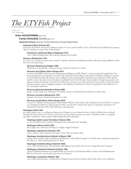 The Etyfish Project © Christopher Scharpf and Kenneth J