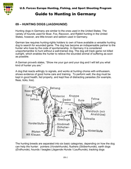 Guide to Hunting in Germany