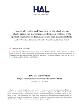 Protist Diversity and Function in the Dark Ocean -Challenging the Paradigms of Deep-Sea Ecology with Special Emphasis on Foramin