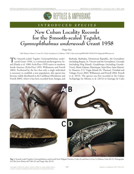 Cfreptiles & Amphibians