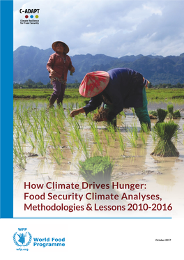 How Climate Drives Hunger: Food Security Climate Analyses, Methodologies & Lessons 2010-2016