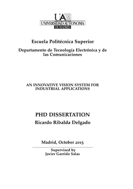 PHD DISSERTATION Ricardo Ribalda Delgado