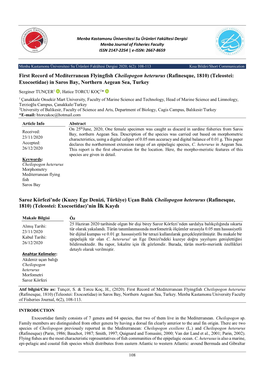 First Record of Mediterranean Flyingfish Cheilopogon Heterurus (Rafinesque, 1810) (Teleostei: Exocoetidae) in Saros Bay, Northern Aegean Sea, Turkey