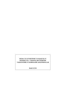 BURSA VE ÇEVRESİNDE YAYILIŞI OLAN HYPERİCUM L. TAKSONLARI ÜZERİNDE TAKSONOMİK VE KOROLOJİK ARAŞTIRMALAR Betül UÇUR