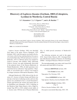 Discovery of Lopheros Lineatus (Gorham, 1883) (Coleoptera, Lycidae) in Mordovia, Central Russia S