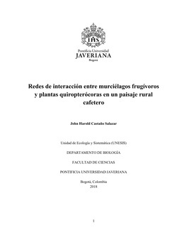 Diet and Trophic Structure in Assemblages of Montane Frugivorous Phyllostomid Bats