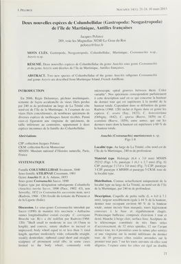 Famille COLUMBELLIDAE Swainson, 1840 3 CJP, Paratype 4 MNHN Et Paratype 5 CKM, Tous De Sous-Famille ATILIINAE Cossmann, 1901 La Localité Type