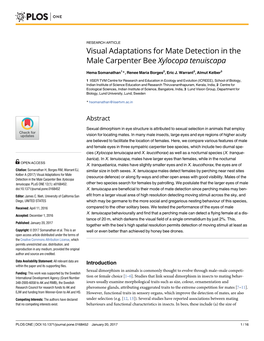 Visual Adaptations for Mate Detection in the Male Carpenter Bee Xylocopa Tenuiscapa