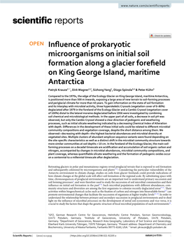 Influence of Prokaryotic Microorganisms on Initial Soil