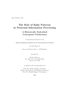 The Role of Spike Patterns in Neuronal Information Processing