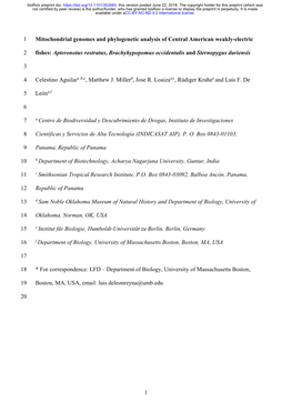 Mitochondrial Genomes and Phylogenetic Analysis of Central American Weakly-Electric Fishes: Apteronotus Rostratus, Brachyhypopom