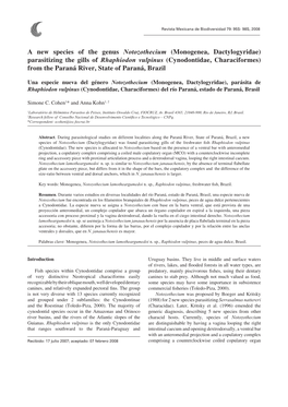 Monogenea, Dactylogyridae) Parasitizing the Gills of Rhaphiodon Vulpinus (Cynodontidae, Characiformes) from the Paraná River, State of Paraná, Brazil