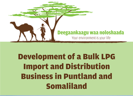 Development of a Bulk LPG Import and Distribution Business in Puntland and Somaliland