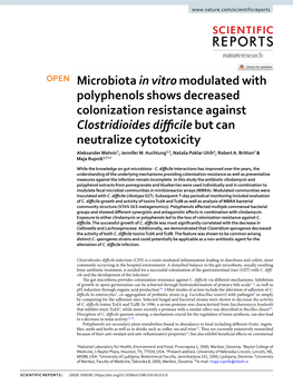 Microbiota in Vitro Modulated with Polyphenols Shows Decreased