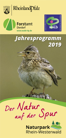 Jahresprogramm 2019