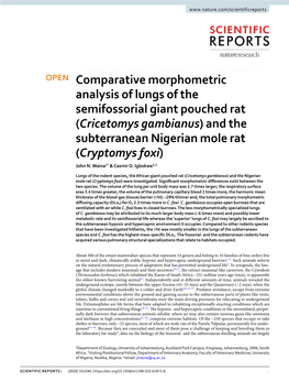 (Cricetomys Gambianus) and the Subterranean Nigerian Mole Rat (Cryptomys Foxi) John N