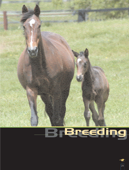 Breedingbreeding