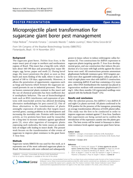 Microprojectile Plant Transformation for Sugarcane Giant Borer Pest