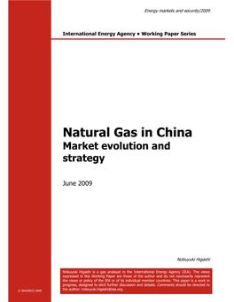 Natural Gas in China Market Evolution and Strategy