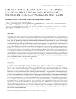 Early Jurassic) in Las Leñas Valley, Neuquén Basin