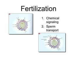 15. Fertilization 2010 H Hamlin.Pdf