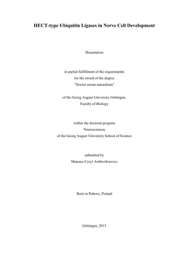 HECT-Type Ubiquitin Ligases in Nerve Cell Development