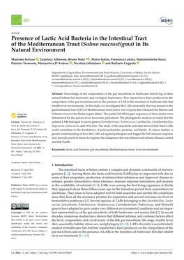 Presence of Lactic Acid Bacteria in the Intestinal Tract of the Mediterranean Trout (Salmo Macrostigma) in Its Natural Environment