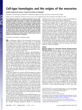 Cell-Type Homologies and the Origins of the Neocortex