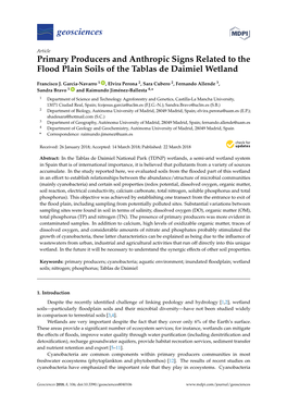 Primary Producers and Anthropic Signs Related to the Flood Plain Soils of the Tablas De Daimiel Wetland